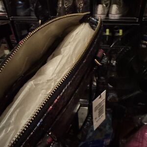 Brand new Brahmin